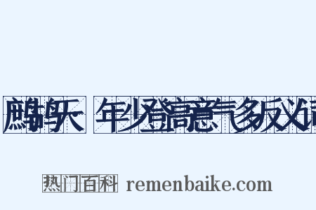 鹧鸪天·年少登高意气多反义词是什么意思的图片